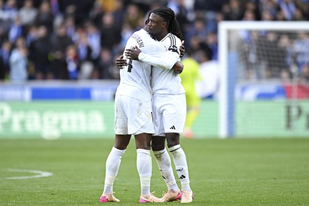 多点开花的 多点开花的